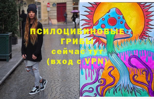 ПСИЛОЦИБИНОВЫЕ ГРИБЫ Зеленокумск