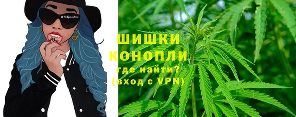 ПСИЛОЦИБИНОВЫЕ ГРИБЫ Зеленокумск
